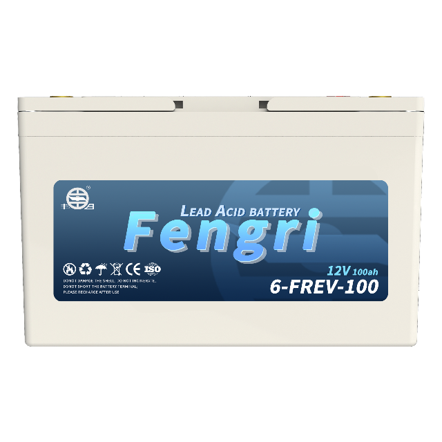 6-FREV-100 Batterie de traction