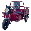 Tricycle électrique Fengri avec batterie au plomb et batterie au lithium