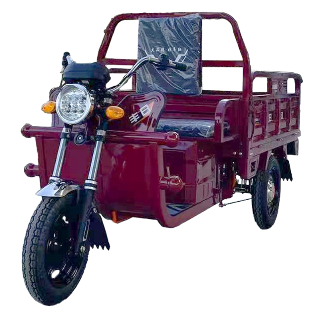 Tricycle cargo électrique série Legend avec longue portée